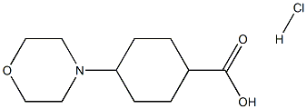 4-(morpholin-4-yl)cyclohexane-1-carboxylic acid hydrochloride Structure