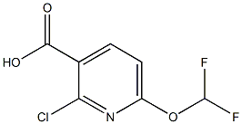 2-chloro-6-(difluoromethoxy)pyridine-3-carboxylic acid 구조식 이미지