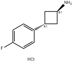 3-(4-fluorophenyl)cyclobutan-1-amine hydrochloride Structure