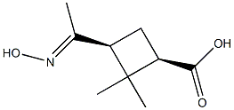 (1R,3S)-3-[1-(hydroxyimino)ethyl]-2,2-dimethylcyclobutane-1-carboxylic acid Structure