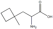 2-amino-3-(1-methylcyclobutyl)propanoic acid Structure