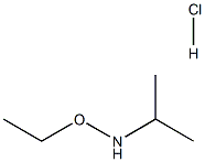 ethoxy(propan-2-yl)amine hydrochloride 구조식 이미지
