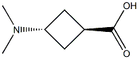 trans-3-(dimethylamino)cyclobutane-1-carboxylic acid Structure