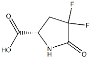 (S)-4,4-difluoro-5-oxopyrrolidine-2-carboxylic acid 구조식 이미지