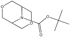 Tert-butyl 3,7-dioxa-9-azabicyclo[3.3.1]nonane-9-carboxylate Structure
