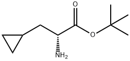 (R)-tert-Butyl 2-amino-3-cyclopropylpropanoate Structure