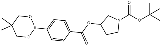 1-Pyrrolidinecarboxylic acid, 3-[[4-(5,5-dimethyl-1,3,2-dioxaborinan-2-yl)benzoyl]oxy]-, 1,1-dimethylethyl ester 구조식 이미지