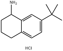 7-TERT-BUTYL-1,2,3,4-TETRAHYDRONAPHTHALEN-1-AMINE HYDROCHLORIDE 구조식 이미지