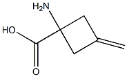 1-amino-3-methylidenecyclobutane-1-carboxylic acid Structure