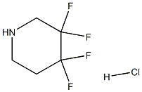 3,3,4,4-tetrafluoropiperidine hydrochloride Structure