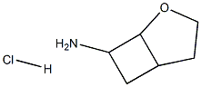 2-oxabicyclo[3.2.0]heptan-7-amine hydrochloride Structure