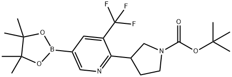 tert-butyl 3-(5-(4,4,5,5-tetramethyl-1,3,2-dioxaborolan-2-yl)-3-(trifluoromethyl)pyridin-2-yl)pyrrolidine-1-carboxylate Structure