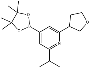 2-isopropyl-6-(tetrahydrofuran-3-yl)-4-(4,4,5,5-tetramethyl-1,3,2-dioxaborolan-2-yl)pyridine Structure