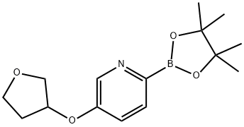 5-(Tetrahydrofuran-3-yloxy)pyridine-2-boronic acid pinacol ester Structure