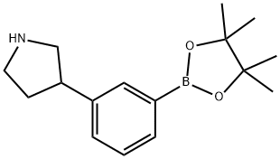 3-(Pyrrolidin-3-yl)phenylboronic acid pinacol ester Structure