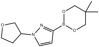 N-(Oxolan-3-yl)imidazole-3-boronic acid neopentylglycol ester Structure