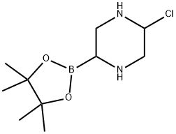 5-Chloropiperazine-2-boronic acid pinacol ester 구조식 이미지