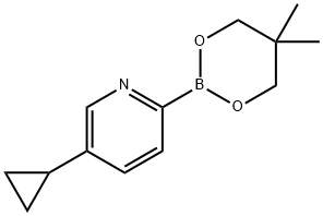 5-Cyclopropylpyridine-2-boronic acid neopentylglycol ester 구조식 이미지