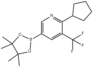 2-cyclopentyl-5-(4,4,5,5-tetramethyl-1,3,2-dioxaborolan-2-yl)-3-(trifluoromethyl)pyridine 구조식 이미지