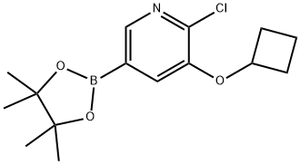 6-Chloro-5-(cyclobutoxy)pyridine-3-boronic acid pinacol ester Structure