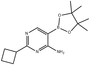 4-Amino-2-(cyclobutyll)pyrimidine-5-boronic acid pinacol ester 구조식 이미지