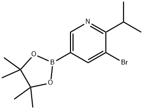 3-bromo-2-isopropyl-5-(4,4,5,5-tetramethyl-1,3,2-dioxaborolan-2-yl)pyridine 구조식 이미지