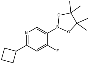 2-cyclobutyl-4-fluoro-5-(4,4,5,5-tetramethyl-1,3,2-dioxaborolan-2-yl)pyridine Structure