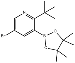 5-Bromo-2-(tert-butyl)pyridine-3-boronic acid pinacol ester 구조식 이미지