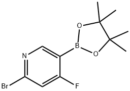 2-bromo-4-fluoro-5-(4,4,5,5-tetramethyl-1,3,2-dioxaborolan-2-yl)pyridine 구조식 이미지