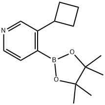 3-(Cyclobutyl)pyridine-4-boronic acid pinacol ester 구조식 이미지