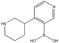 4-(Piperidin-3-yl)pyridine-3-boronic acid 구조식 이미지