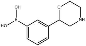 3-(Morpholin-2-yl)phenylboronic acid Structure