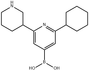 2-Cyclohexyl-6-(piperidin-3-yl)pyridine-4-boronic acid 구조식 이미지
