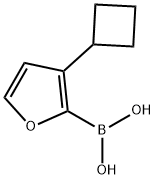 3-(Cyclobutyl)furan-2-boronic acid 구조식 이미지