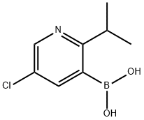 5-Chloro-2-(iso-propyl)pyridine-3-boronic acid 구조식 이미지