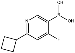 4-Fluoro-2-(cyclobutyl)pyridine-5-boronic acid Structure