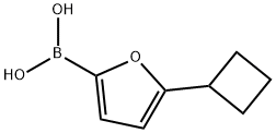 5-(Cyclobutyl)furan-2-boronic acid 구조식 이미지