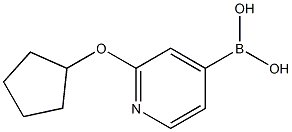 2-(Cyclopentoxy)pyridine-4-boronic acid Structure