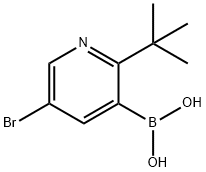 5-Bromo-2-(tert-butyl)pyridine-3-boronic acid 구조식 이미지