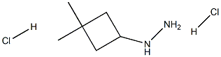 (3,3-dimethylcyclobutyl)hydrazine dihydrochloride Structure