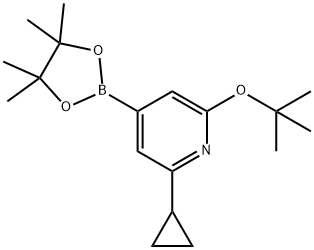 2-(tert-butoxy)-6-cyclopropyl-4-(4,4,5,5-tetramethyl-1,3,2-dioxaborolan-2-yl)pyridine 구조식 이미지