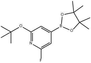 2-(tert-butoxy)-6-fluoro-4-(4,4,5,5-tetramethyl-1,3,2-dioxaborolan-2-yl)pyridine Structure