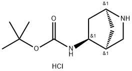 1S,4S,5S-(2-Aza-bicyclo[2.2.1]hept-5-yl)-carbamic acid tert-butyl ester hydrochloride Structure