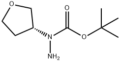 (R)-N-(Tetrahydro-furan-3-yl)-hydrazinecarboxylic acid tert-butyl ester Structure