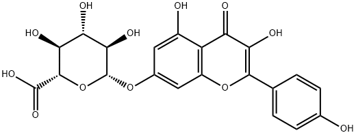 (2S,3S,4S,5R,6S)-6-((3,5-dihydroxy-2-(4-hydroxyphenyl)-4-oxo-4H-chromen-7-yl)oxy)-3,4,5-trihydroxytetrahydro-2H-pyran-2-carboxylic acid Structure
