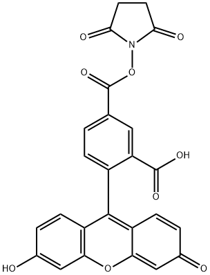 1,3-Benzenedicarboxylic acid, 4-(6-hydroxy-3-oxo-3H-xanthen-9-yl)-, 1-(2,5-dioxo-1-pyrrolidinyl) ester Structure