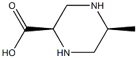(2R,5S)-5-methylpiperazine-2-carboxylic acid Structure