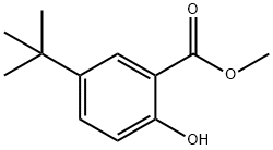 methyl 5-tert-butyl-2-hydroxybenzoate Structure