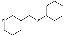 3-[(cyclohexyloxy)methyl]piperidine Structure