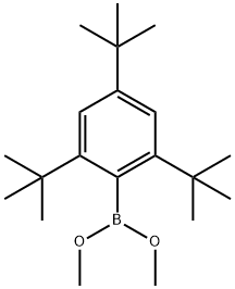 dimethoxy(2,4,6-tri-tert-butylphenyl)borane Structure